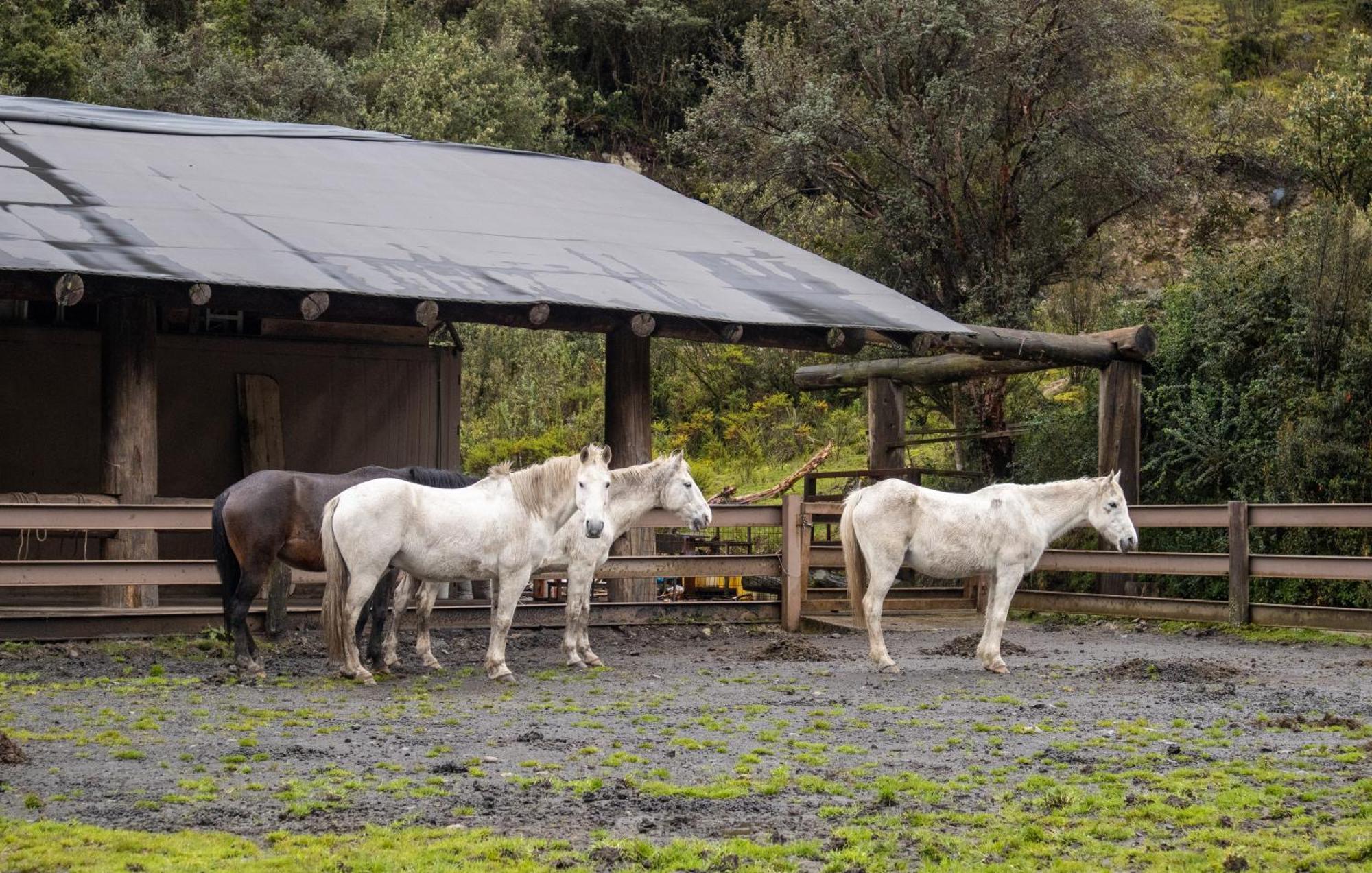 Hacienda Hosteria Dos Chorreras Cuenca Eksteriør billede